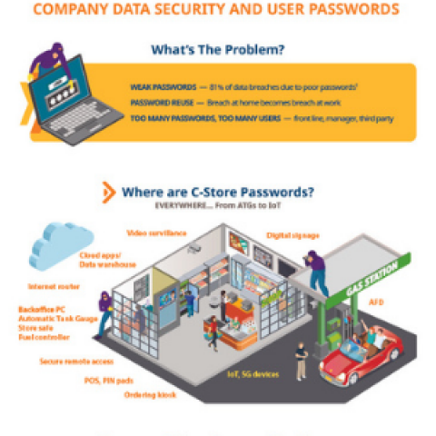 MFA Passwords Infographic
