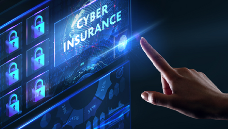 Cyber Liability & Risk Management
